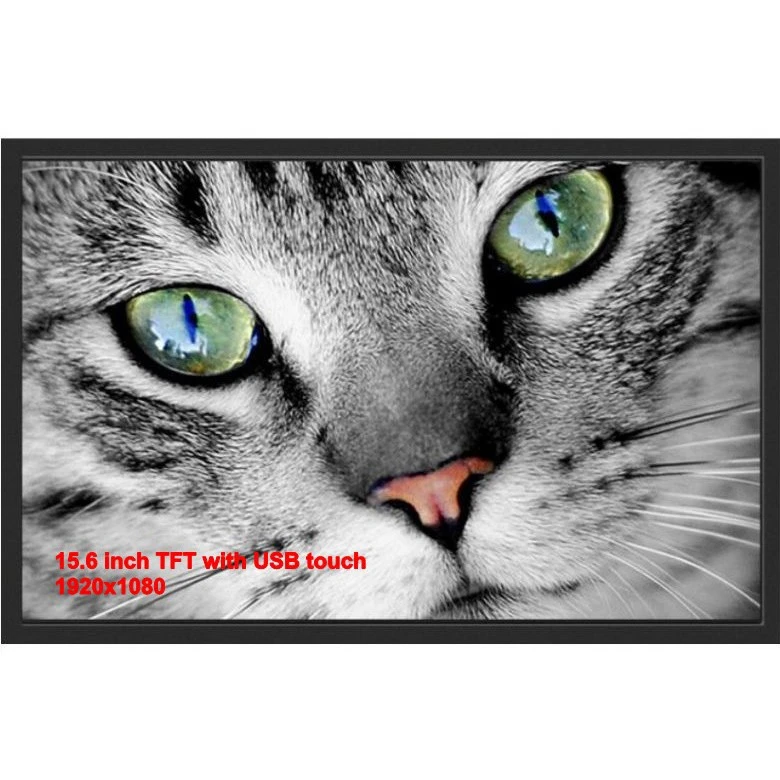 15,6 -tolline TFT USB -puudutuse monitoriga