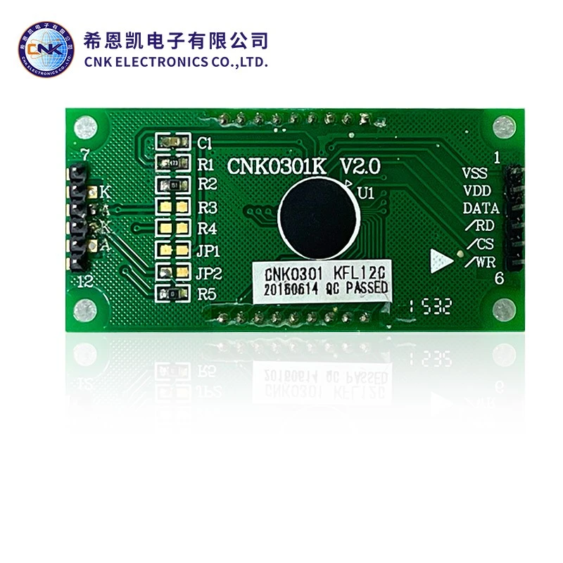 FSTN -tüüpi segmendi LCD -kuvar