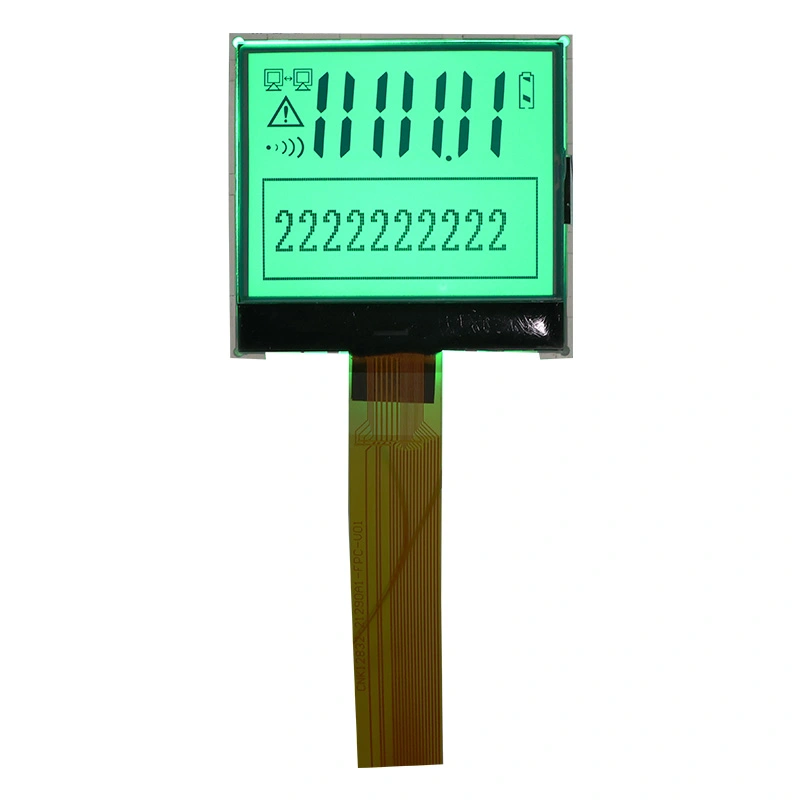 Graafiline ja segment LCD -kuvamoodul LCM